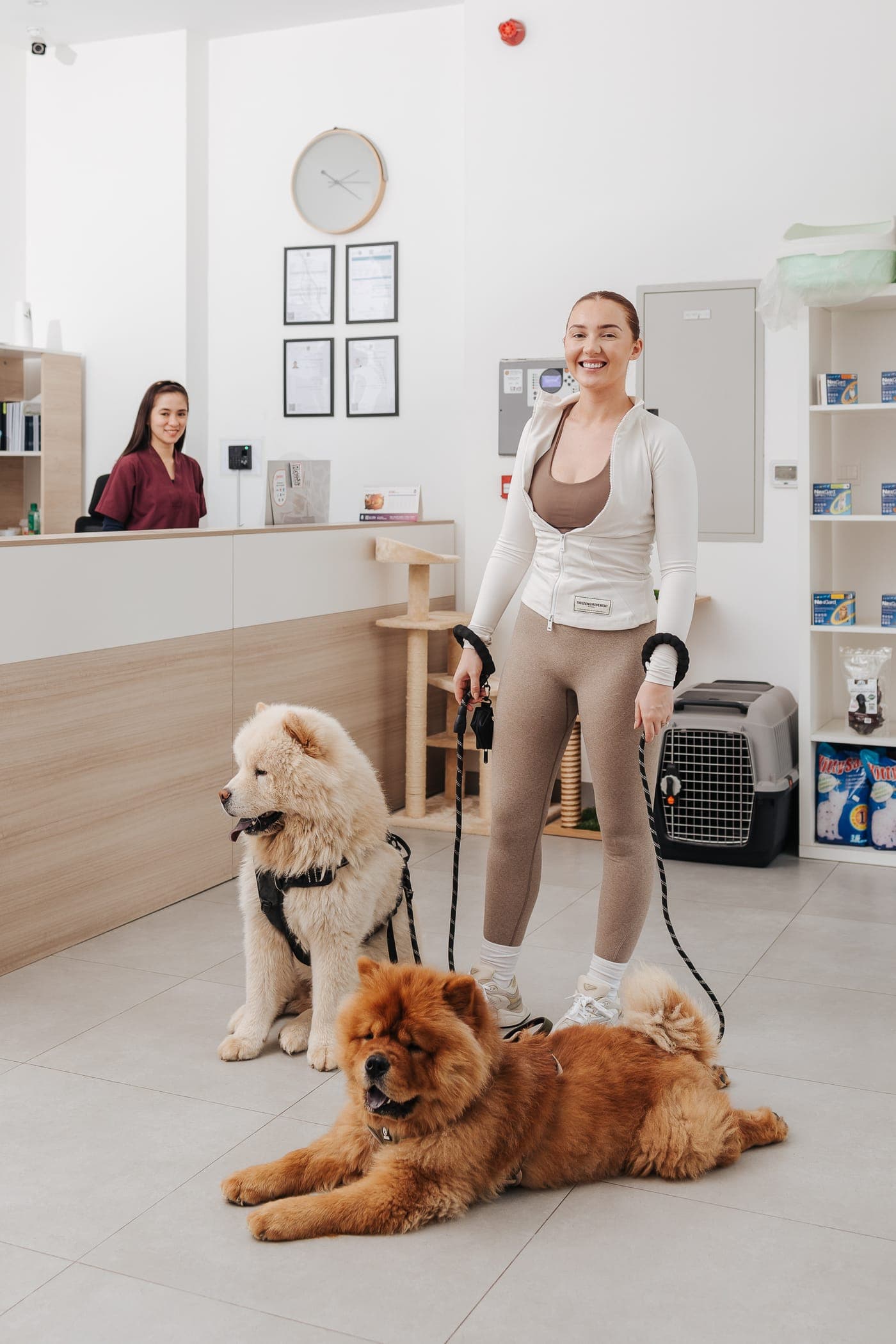 Veterinary care at Pet Avenue Clinic
